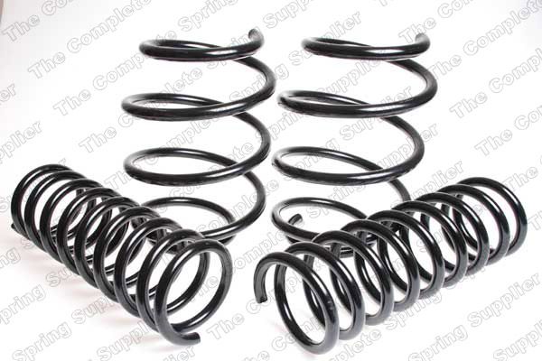 Fahrwerkssatz, Federn