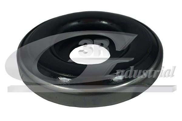 frikcinis guolis, pakabos statramsčio atramos montavimas