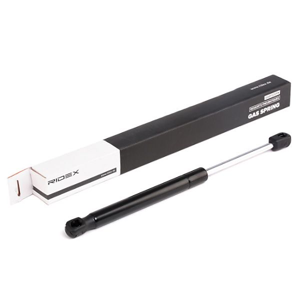 RIDEX 219G0248 Gas Spring, boot/cargo area