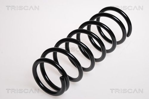 8750 6924 TRISCAN futómű rugó