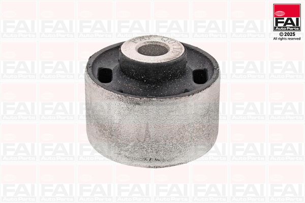FAI SS623 Lagerung, Lenker