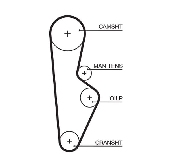 Timing Belt 5082XS