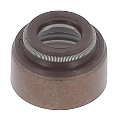 Dichtring, Ventilschaft