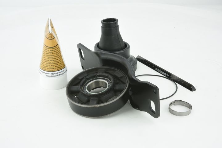 guolis, kardaninio veleno centrinis guolis