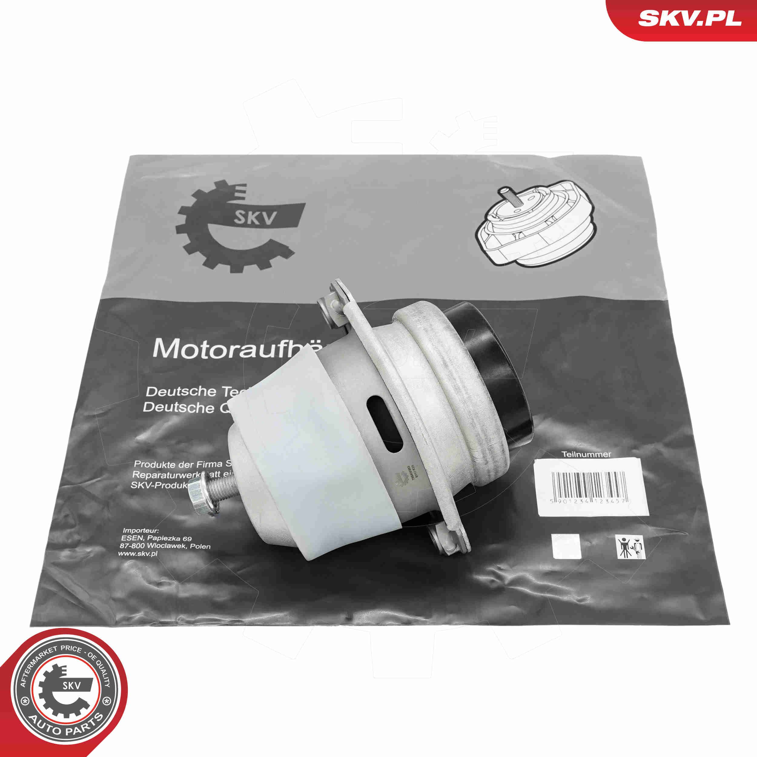 75SKV303 ESEN SKV felfüggesztés, motor