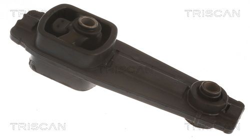 8505 28101 TRISCAN felfüggesztés, motor