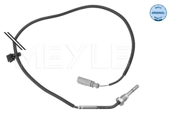 Sensor, Abgastemperatur