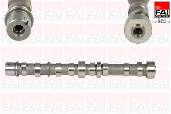 Camshaft C254