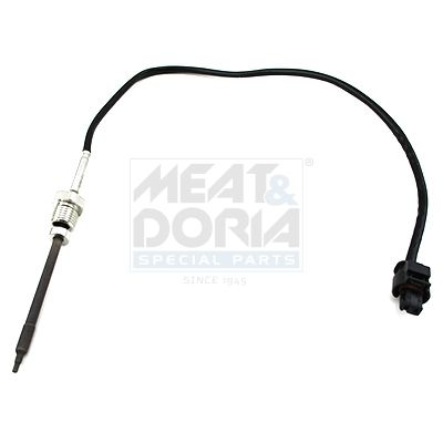 Sensor, Abgastemperatur