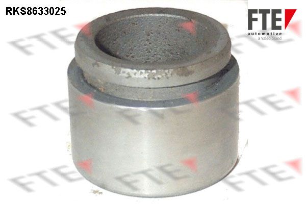 FTE 9313278 - Kolben, Bremssattel