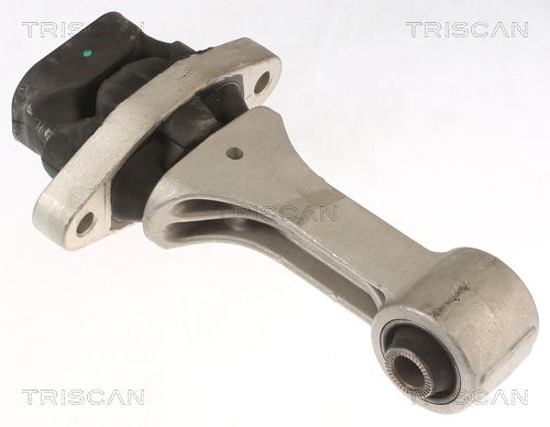8505 43109 TRISCAN felfüggesztés, motor