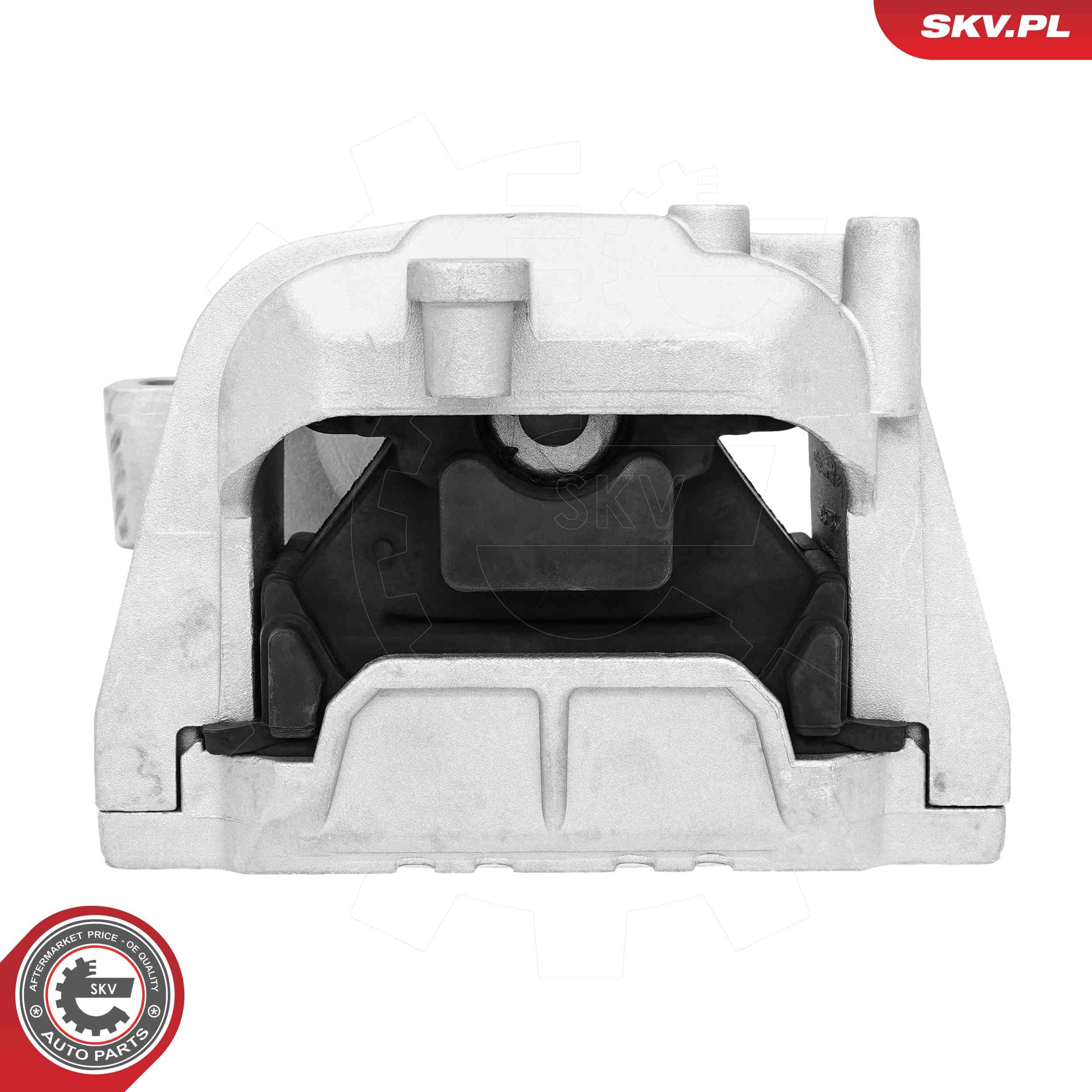 ESEN SKV 75SKV253 - Lagerung, Motor