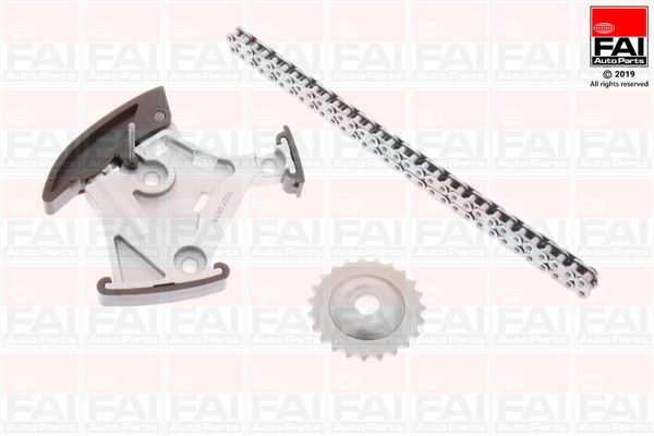 FAI AutoParts OPCK5 - Kette, &Ouml;lpumpenantrieb