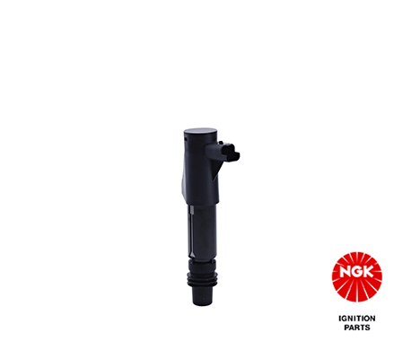 Ignition Coil 48031