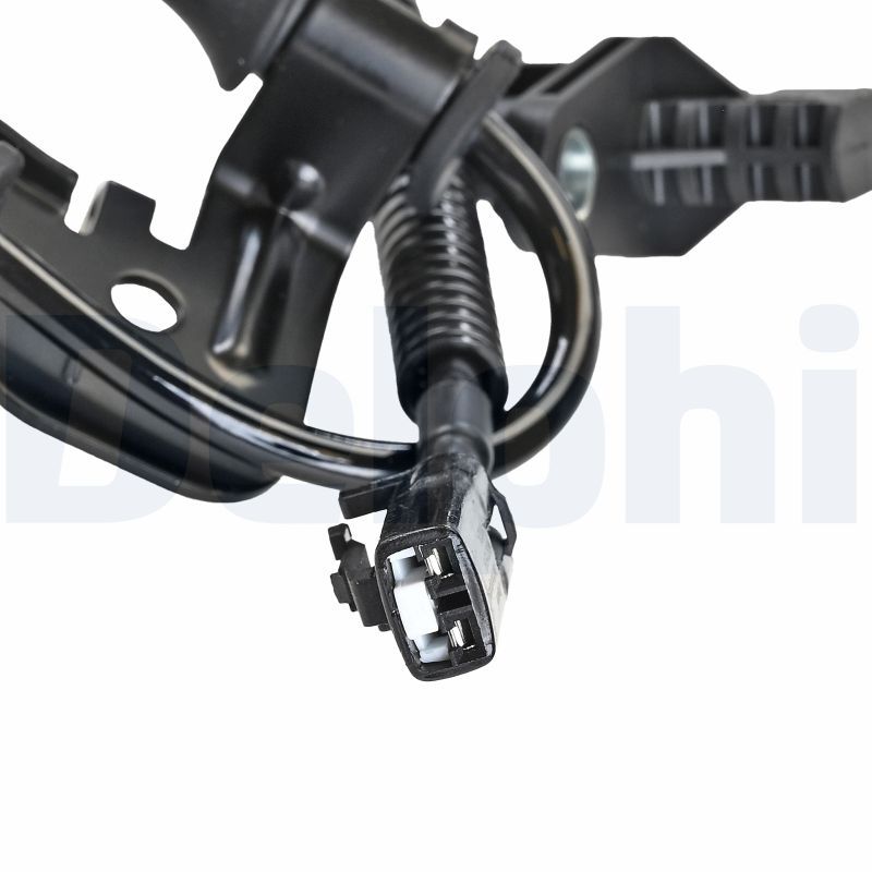 SS21519_1.JPG
