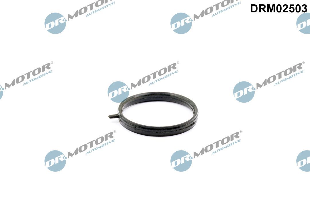 Dr.Motor Automotive DRM02503 Seal, coolant pipe