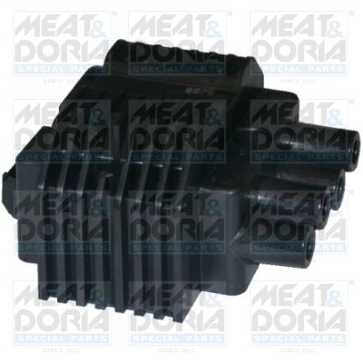 Ignition Coil 10316