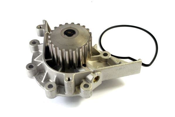 Water Pump, engine cooling D1P040TT