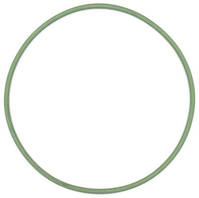 Dichtring