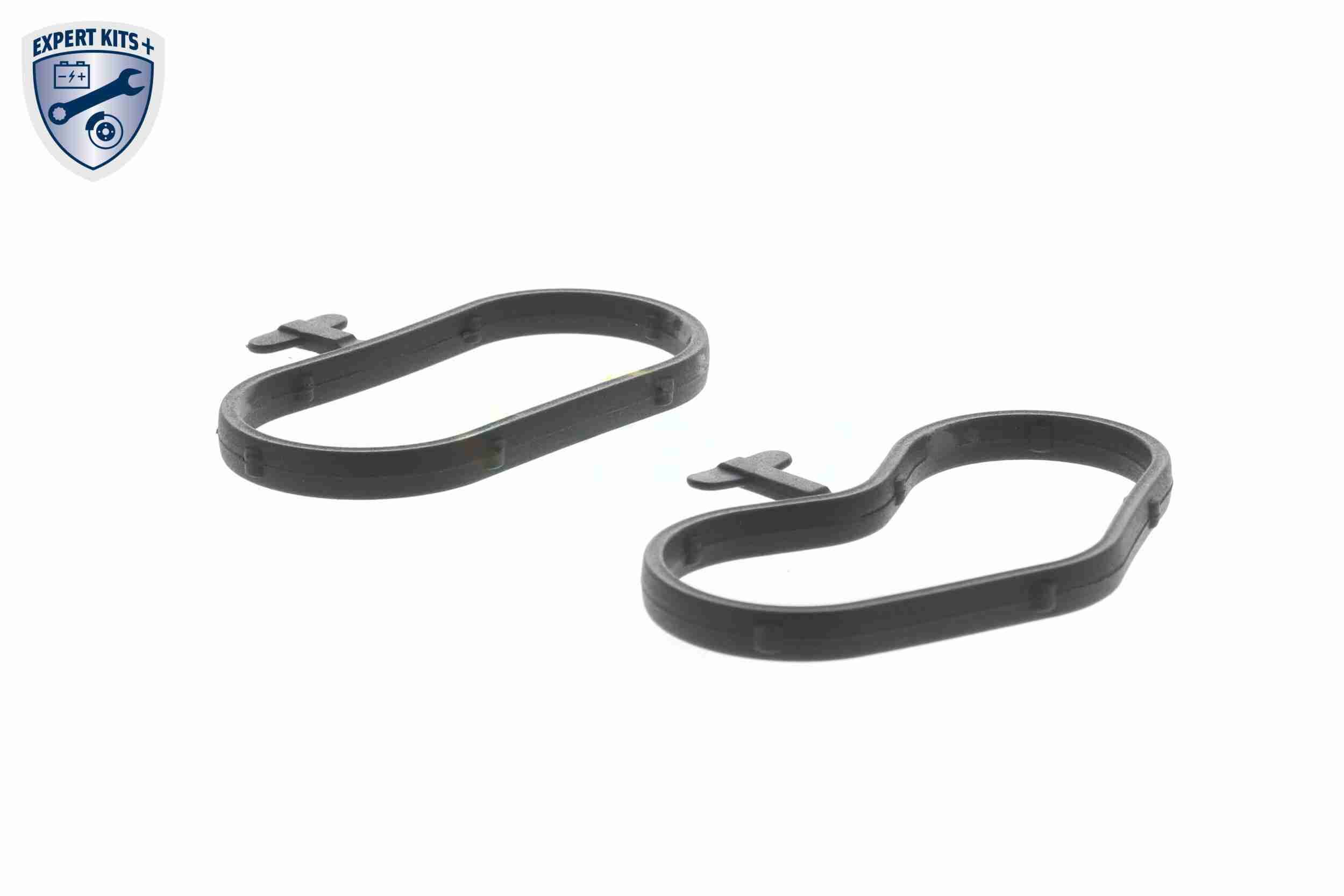 Dichtungssatz, &Ouml;lk&uuml;hler