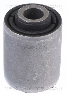 Triscan 8500 68804 Lagerung, Lenker