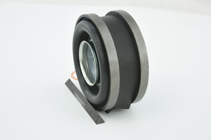 guolis, kardaninio veleno centrinis guolis