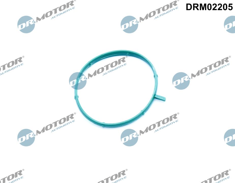 Dr.Motor Automotive DRM02205 - Dichtung, Thermostatgeh&auml;use