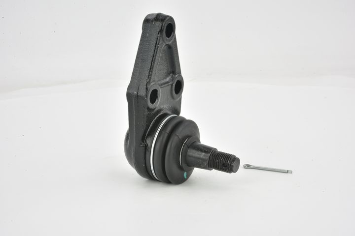 Šarnyras / girgždukas