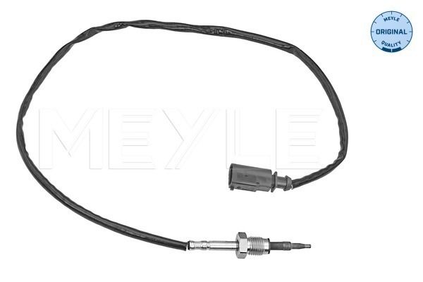 Sensor, Abgastemperatur