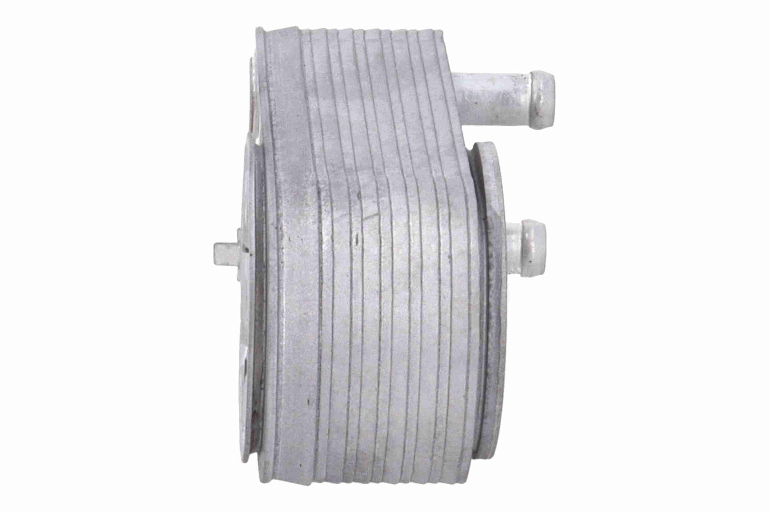 &Ouml;lk&uuml;hler, Motor&ouml;l