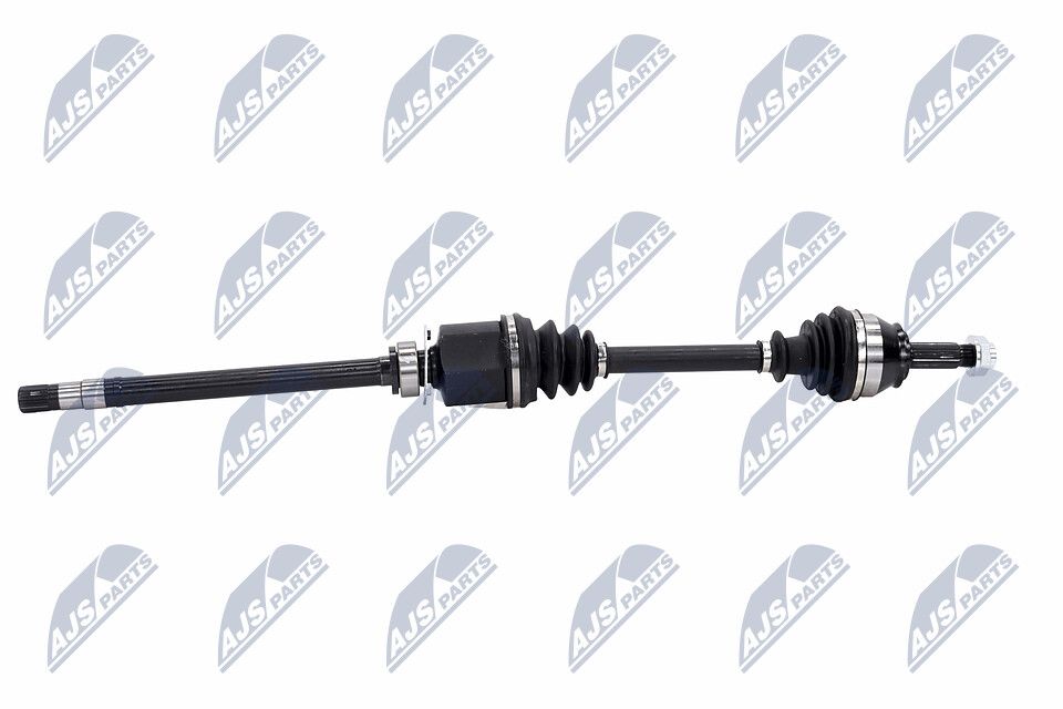 pusašis