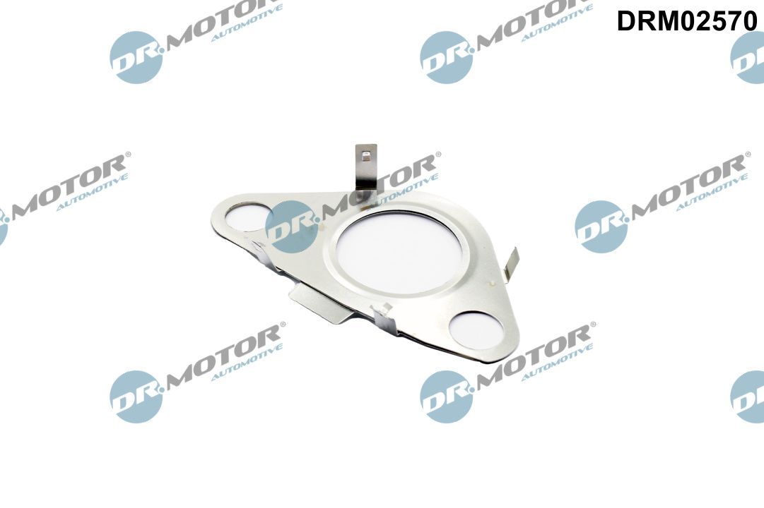 Dr.Motor Automotive DRM02570 - Dichtung, Leitung AGR-Ventil