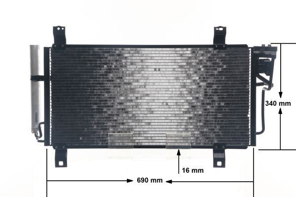 554963129.JPG