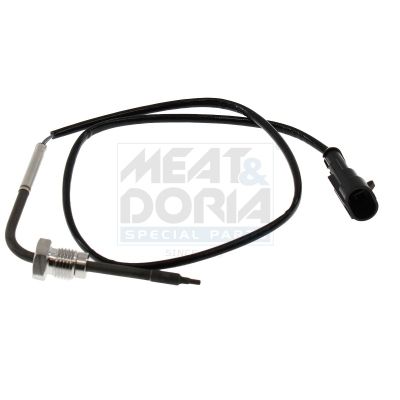 Sensor, Abgastemperatur