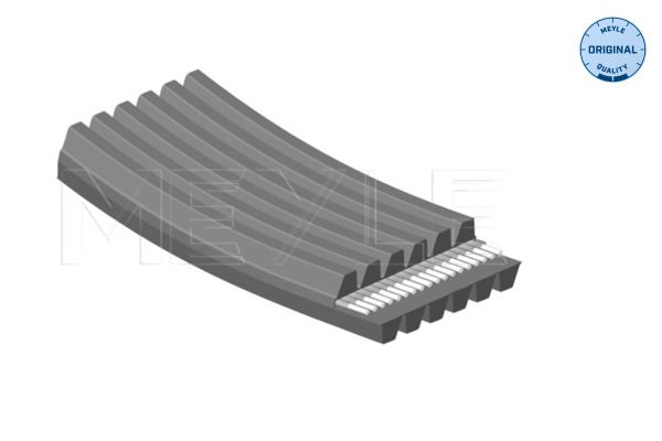 Keilrippenriemen Keilrippenriemen