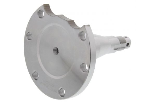 Achsschenkel, Radaufh&auml;ngung