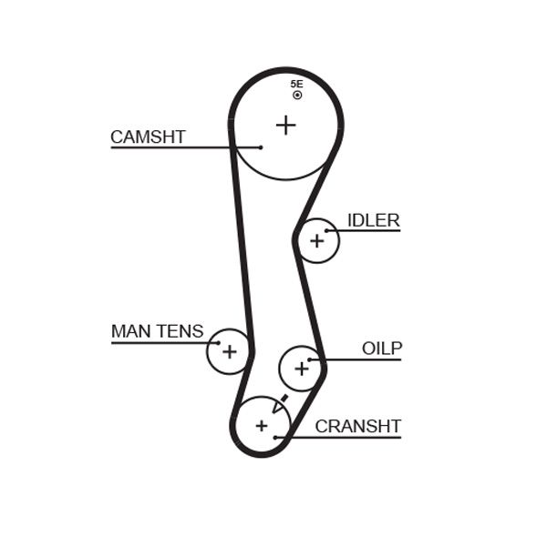 Timing Belt 5389XS