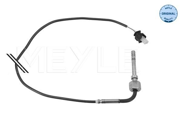 Sensor, Abgastemperatur