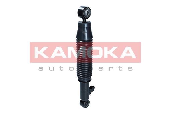 Shock Absorber 2001211