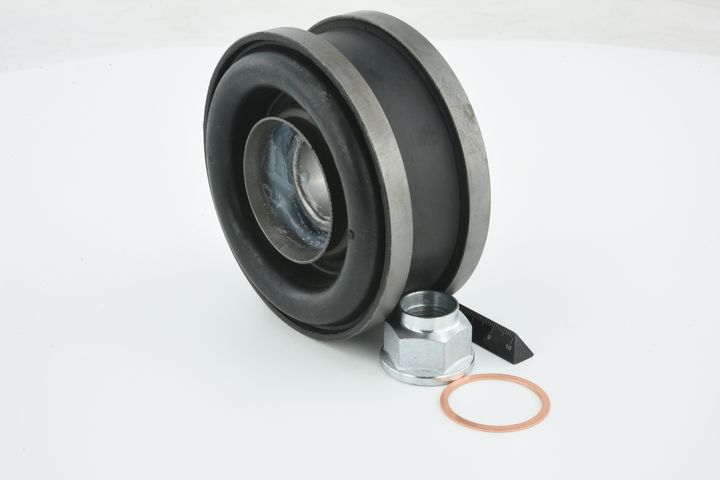 guolis, kardaninio veleno centrinis guolis