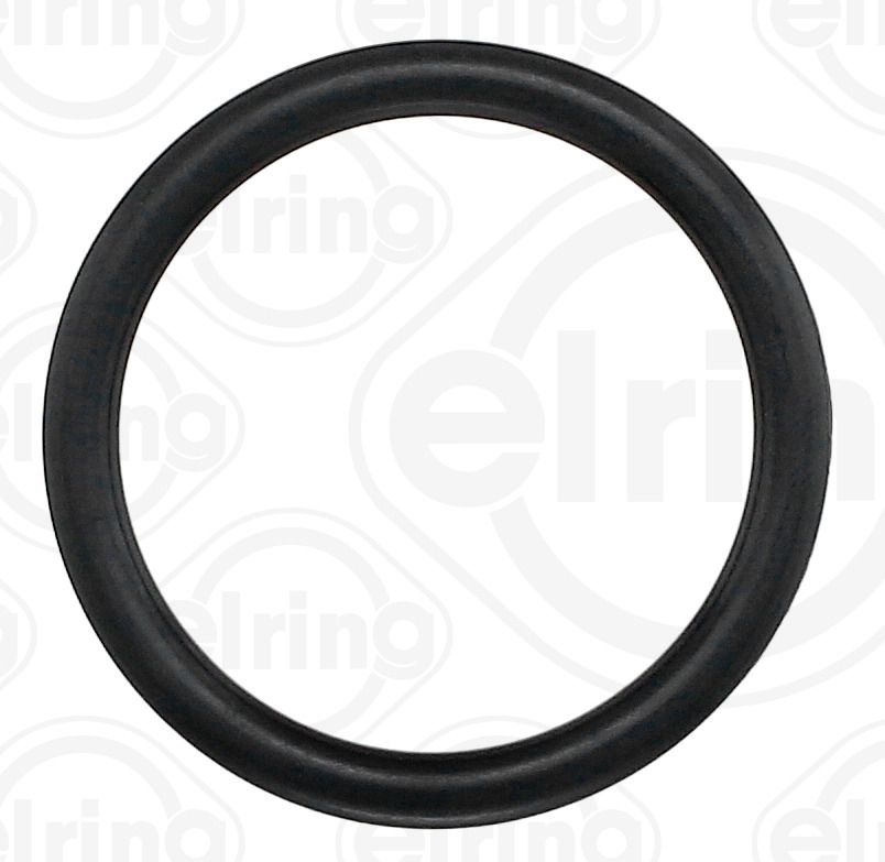 Dichtring