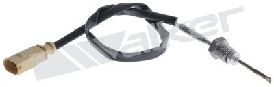 Sensor, de temperatura de gas de escape