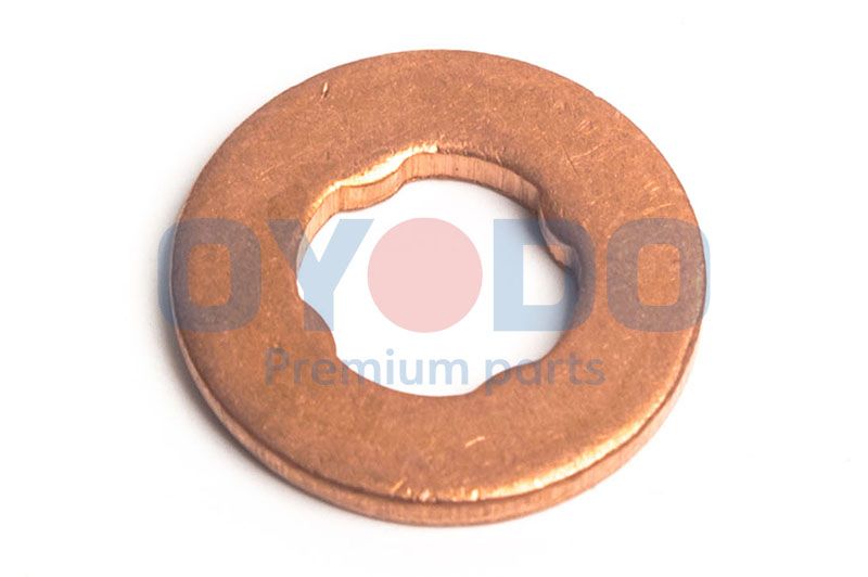 Dichtring, Einspritzventil