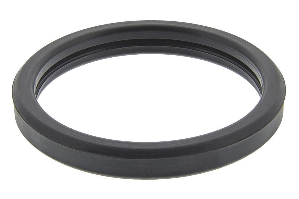 Dichtung, Thermostat