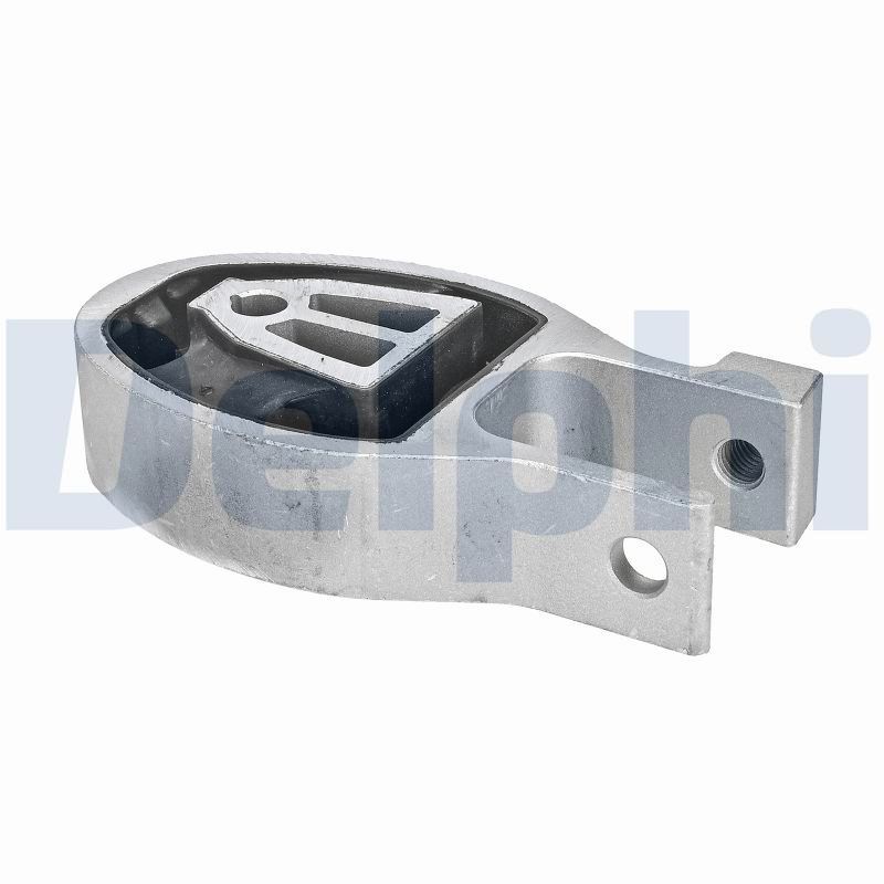 DELPHI TEM250 - Lagerung, Motor