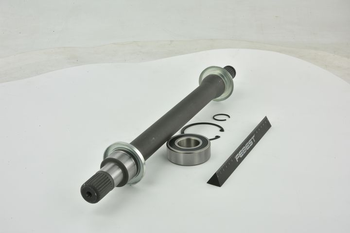 pusašis