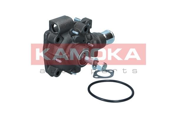 Water Pump, engine cooling T0165