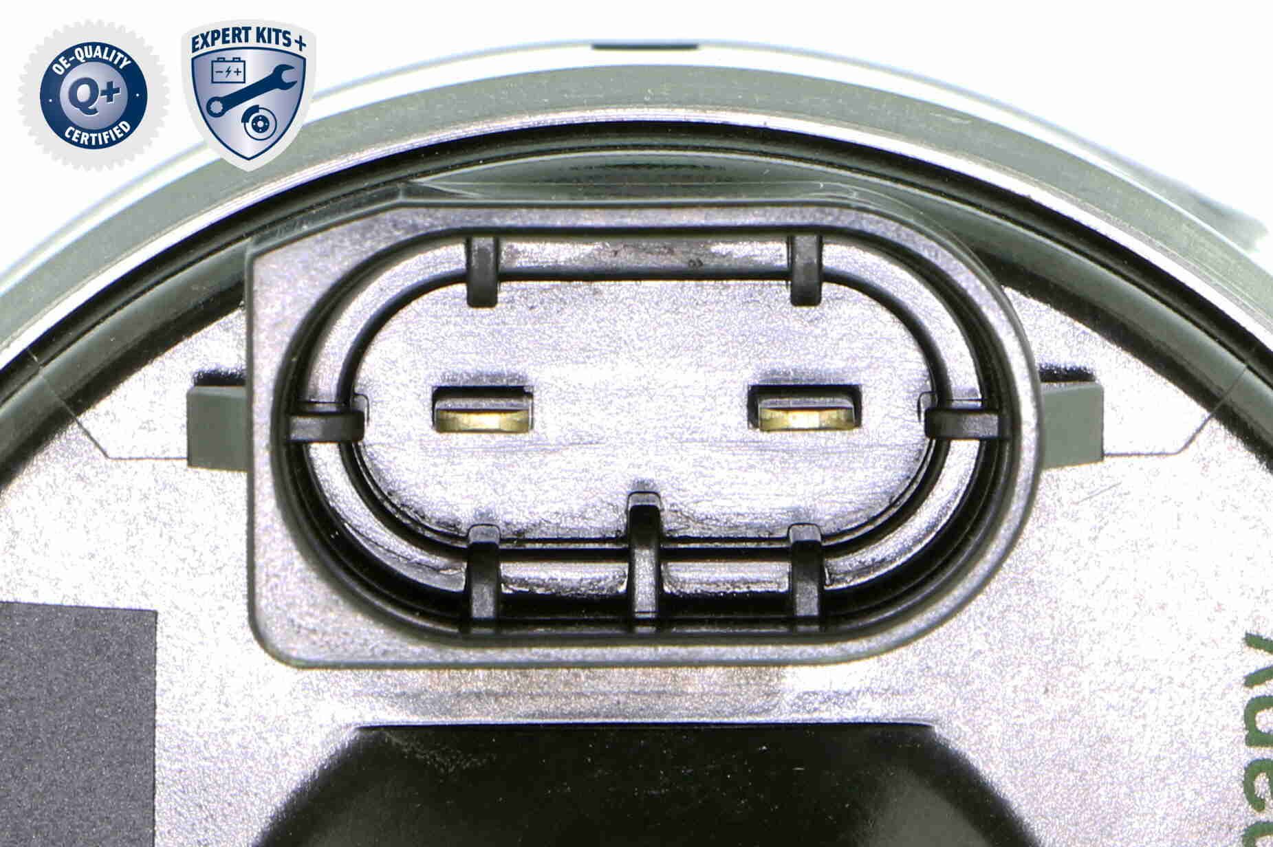Stellelement, Exzenterwelle (variabler Ventilhub)