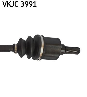 VKJC 3991_3.JPG