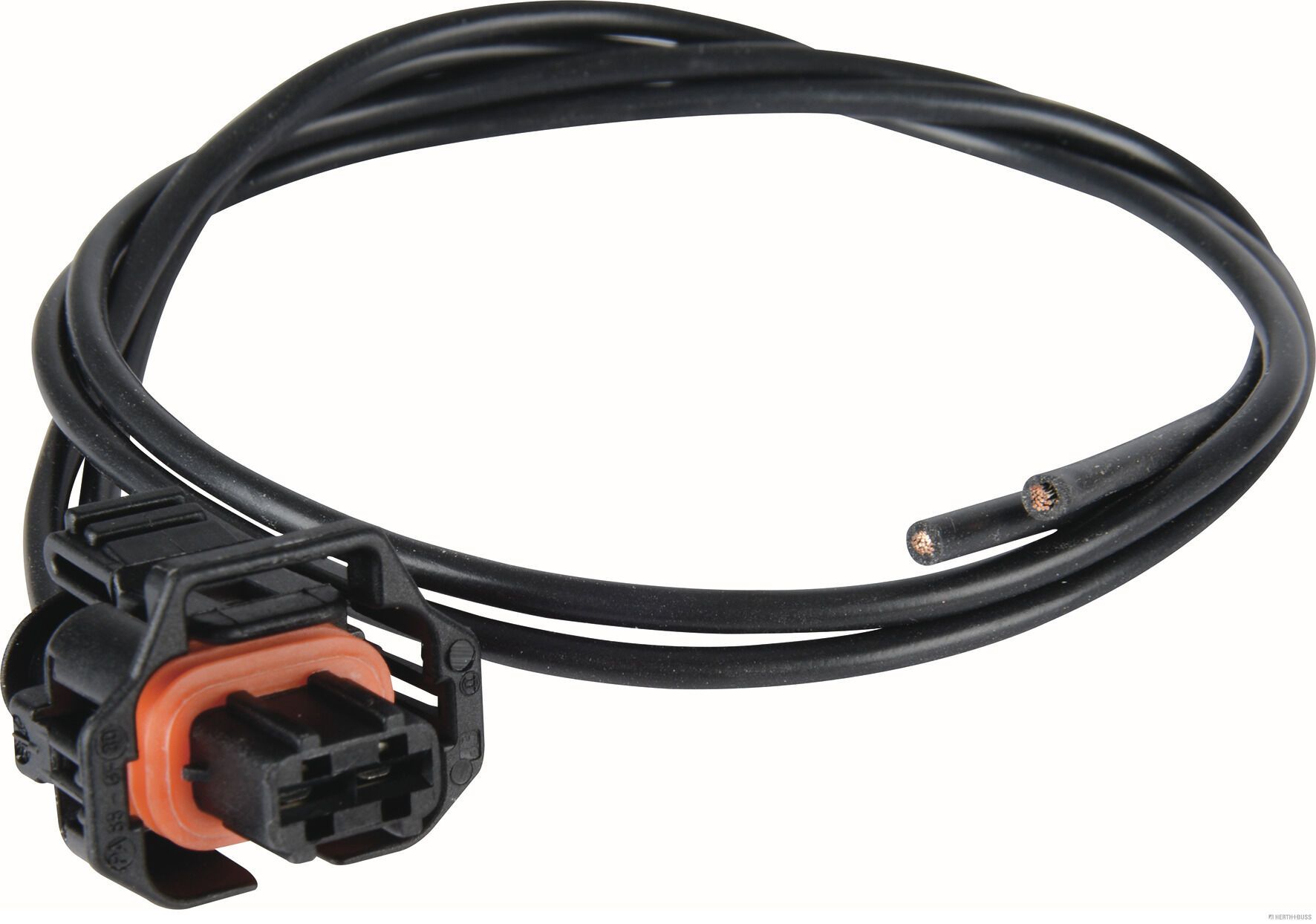 Abbildung des Artikels